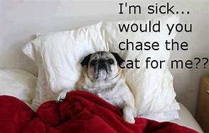 Image result for Being Sick Funny Quotes