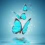 Image result for Aqua Blue Background Butterflies