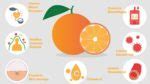 Image result for Orange Fruit Nutrition