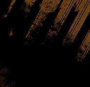 Image result for Black and Tan Wallpaper