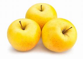 Image result for Golden Delicious Apple Clip Art