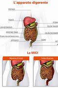 Image result for ad�mici