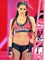 Image result for WWE Nikki Bella Dress