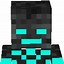 Image result for Wither Skeleton Skin