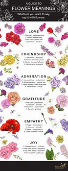 Image result for Meaning of Flowers Poster