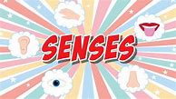 Image result for Five Senses Song