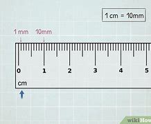 Image result for What Does 20 Cm Look Like