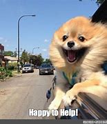 Image result for Happy to Help Funny Meme