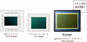 Image result for APS-C CMOS Sensor