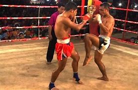 Image result for Chinese Tranditional Fighting