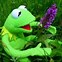 Image result for Kermit Wholesome Memes