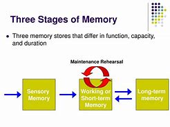 Image result for Memory Process