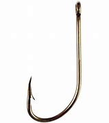 Image result for Flat Claw Hook