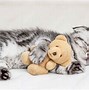 Image result for Kitty Surprise Toy