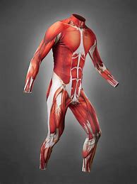 Image result for Skin Suit Costume