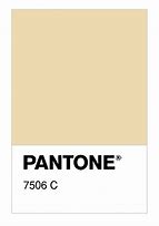 Image result for Pantone 7506C
