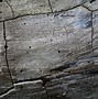 Image result for Dark Wood Grain Paper