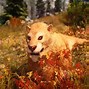 Image result for Sabertooth No Nooo