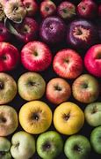 Image result for Rainbow Color Apple