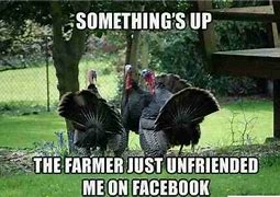 Image result for Funny Thanksgiving Facebook