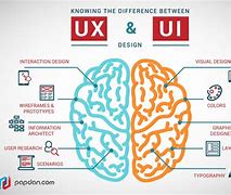 Image result for UX Designer Skills