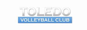 Image result for Images of Toledo Volleyball Club Logo