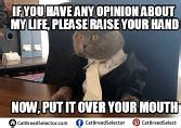 Image result for Business Cat Meme