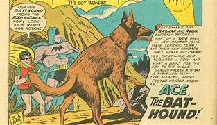 Image result for Ace the Bat Hound Books