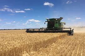 Image result for Local Harvest Farm