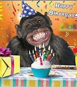 Image result for Silly Happy Birthday Monkey