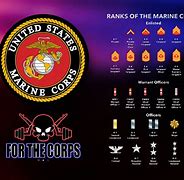 Image result for Marine Corps Rank Insignia