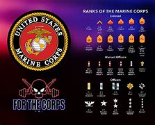 Image result for USMC Rank Structure Chart