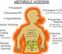 Image result for acidosos