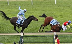 Image result for Melbourne Horse Racing