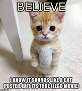 Image result for Believe Cat Meme