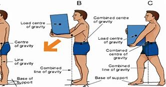 Image result for Weight Carrying Belt