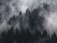Image result for Foggy Wallpaper Iphne