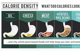 Image result for Calorie Dense Foods Chart