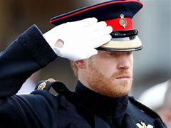 Image result for Prince Harry Accepts an Award