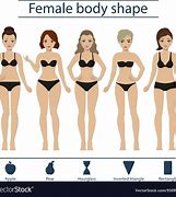 Image result for Female Body Figure