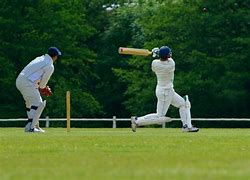 Image result for Cricket Playing Humans