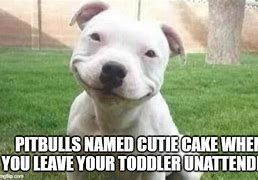 Image result for Cupcake Pitbull Meme