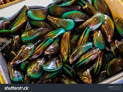 Image result for Mussel Colour