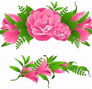 Image result for Spring Flowers White Background Borders