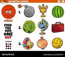 Image result for Things That Are Circle Shaped