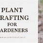 Image result for Approach Grafting