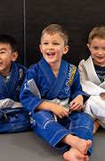 Image result for Jiu Jitsu Weight Class Kids