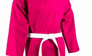 Image result for Karate Japan