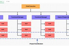 Image result for Project Management Organization Chart