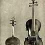 Image result for Instruments of String Family